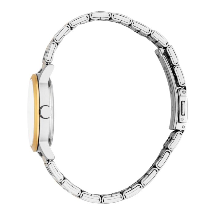 Ladies Renata Watch (ES1L484M1065) - Image 3