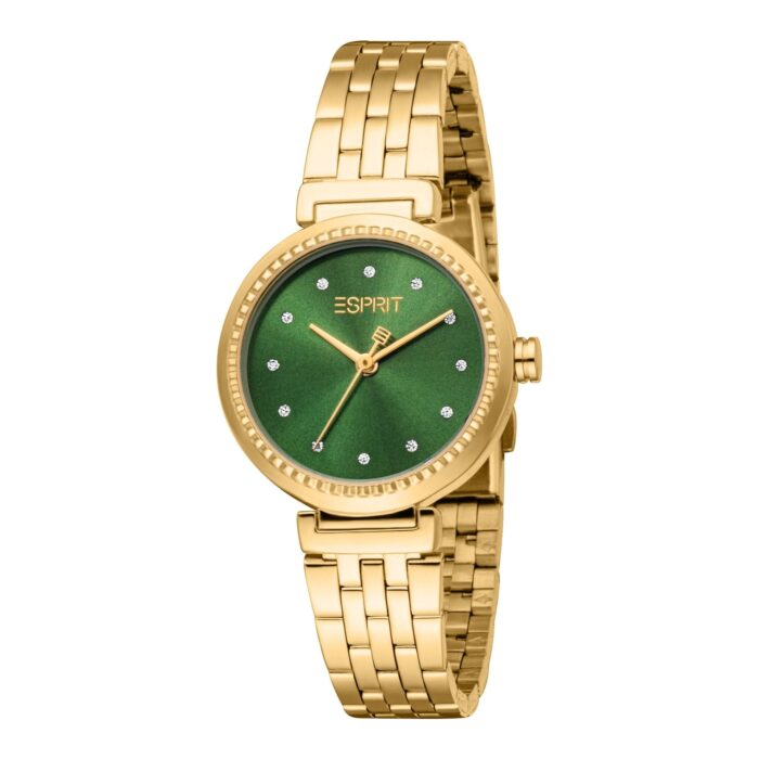 Ladies Leslie Watch (ES1L506M0045) - Image 1