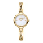 Ladies DKNY Watch (DK1L115M0225)