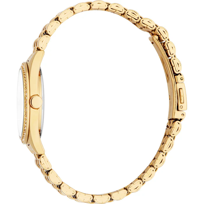 ES1L496M0055-S Ladies Mina Watch (ES1L496M0065) - Image 3