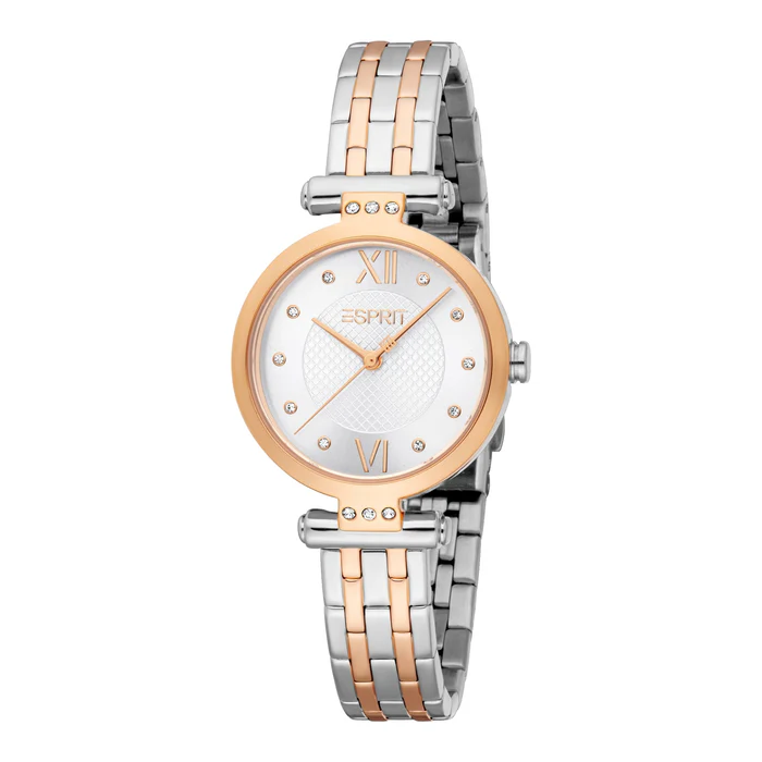 ES1L554M0085 Ladies Skye Watch (ES1L554M0085) - Image 1