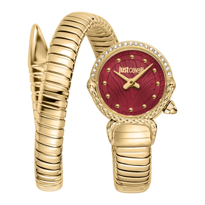 JC1L350M0035 Ladies Radiosa Watch (JC1L350M0035) - Image 1