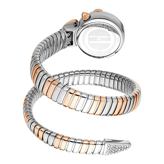 JC1L350M0075-B Ladies Radiosa Watch (JC1L350M0075) - Image 2