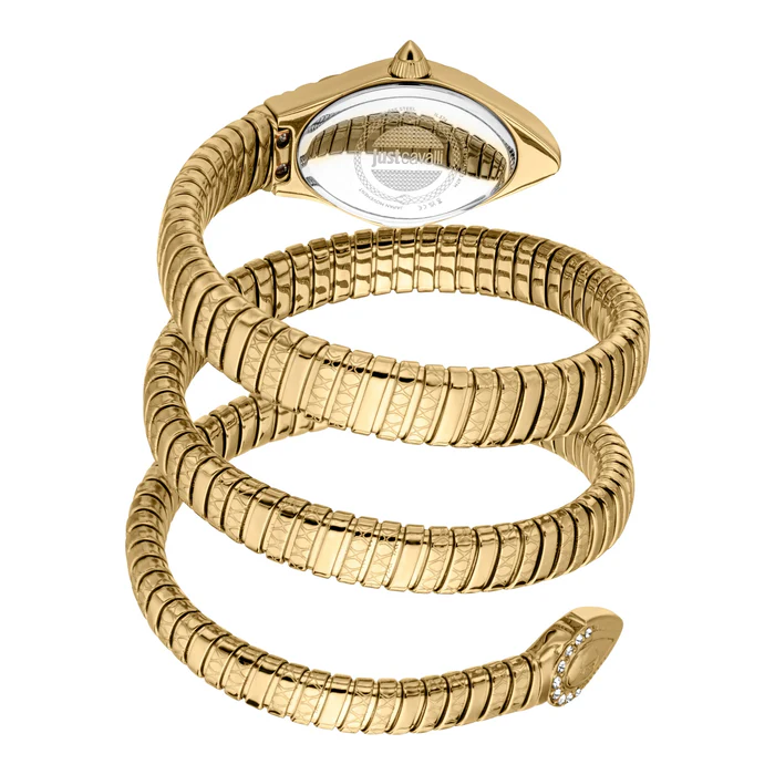 JC1L374M0025-B Ladies Aurela Watch (JC1L374M0025) - Image 2